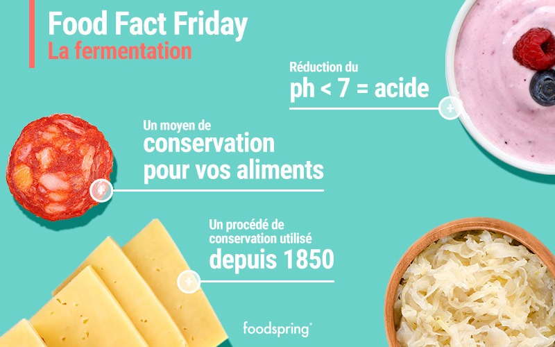 infographie aliments fermentés