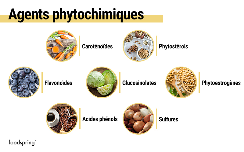 agents phytochimiques par aliment