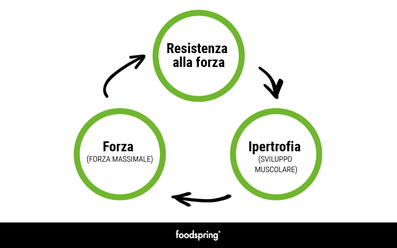 Forza - Allenamento della forza - Ipertrofia