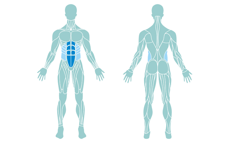 bicycle crunch muscles worked