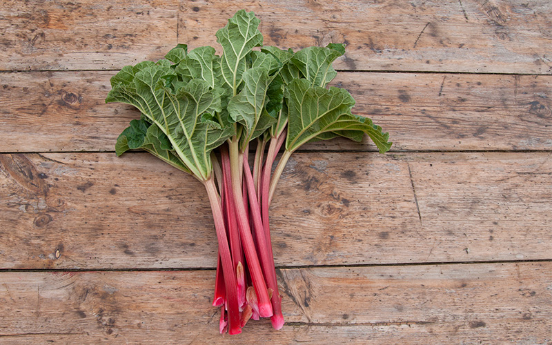 A handful of rhubarb stalks sit on a background of wooden planks. The stalks are an appealing pink-red and topped with fresh green leaves.