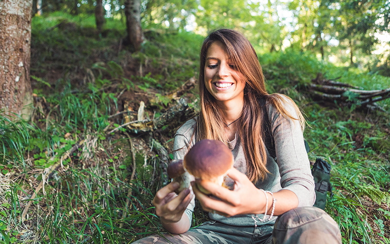 cueillette de champignons en forêt