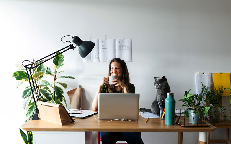 working from home tips: a white woman sits at a desk with a light above her head and a plant to her right