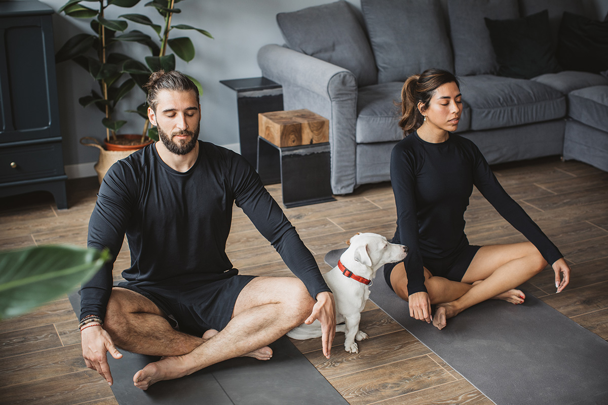 A white man and a woman of color practice yoga for weight loss in a wooden-floored living room. A small white dog with a red collar stands between them. 